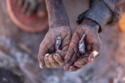 In the absence of food people eat locusts to survive. Ambovombe district is one of the most affected districts and Ankao is among the villages where situation has worsened the most. (Credit: WFP/Tsiory Andriantsoarana)