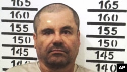 La hija del Chapo Guzmán dijo al diario británico "The Guardian" que el gobierno participó en la fuga del Chapo. "La huída de mi padre fue un acuerdo(...)Mi papá no es un criminal".