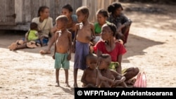 Elders and children suffer the most from the food insecurity in Ambovombe, Madagascar, June 12, 2021, since they do not have anything other than cactus leaves to eat. (Credit: WFP/Tsiory Andriantsoarana)