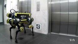 ANYmal Has Four Legs, Good Balance, and Batteries Included