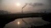 World Could End Fossil Fuel Use in 10 Years: Study