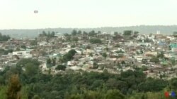 ባህላዊ ስነጥበብ ከተማ ሃረር