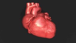 Las enfermedades del corazón son la principal causa de muerte entre las mujeres, dice la Administración de Fármacos y Alimentos de Estados Unidos, FDA.