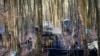 Migrants make shelters from plastic sheets and tree branches at a makeshift camp in a forest outside Velika Kladusa, Bosnia, Jan. 5, 2021. 