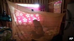 Julia Lina quien ha estado sufriendo síntomas de COVID-19, descansa en su cama encerrada en mosquiteros luego de recibir un tratamiento a base de hierbas, en la comunidad indígena Shipibo de Pucallpa, el 1 de septiembre de 2020.