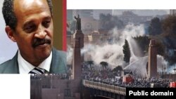 ዶ/ር ያዕቆብ አርሳኖ ስለግብፅ
