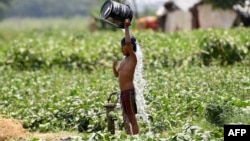 An Indian boy pours water on himself as he tries to cool himself off amid rising temperatures in New Delhi, May 29, 2019. Temperatures pushed toward 50 degrees Celsius across much of India on June 1.