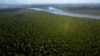 Tráfico de especies silvestres persiste en todo el mundo, según informe de la ONU